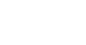 qlik+logo+white